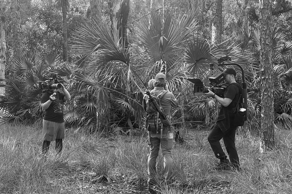Three people filming a person in a forest with large palm trees.